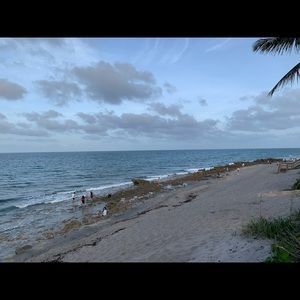 Meet your Posher, Cecilia